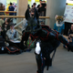 Image for article titled My Weekend At A Furry Convention
